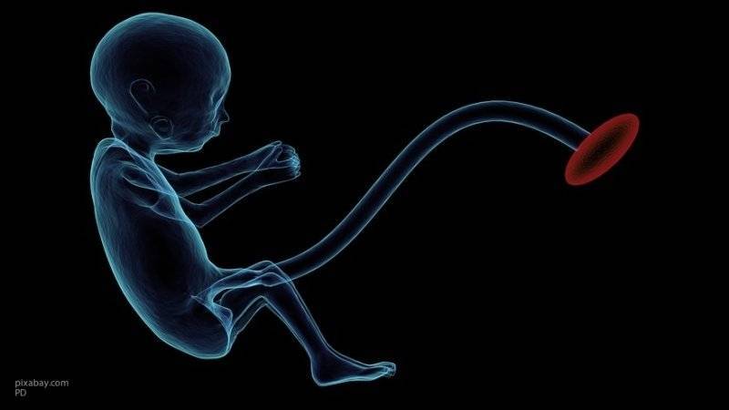 Британские ученые не смогли определиться с возрастом начала болевых ощущений у эмбриона
