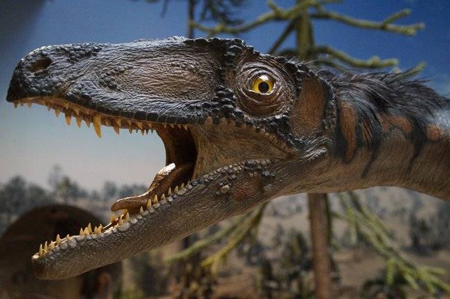 Микроорганизмы помогли узнать, как вымерли динозавры