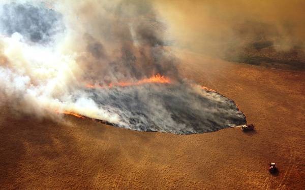 Югра наладила поставку леса в охваченную огнем Австралию