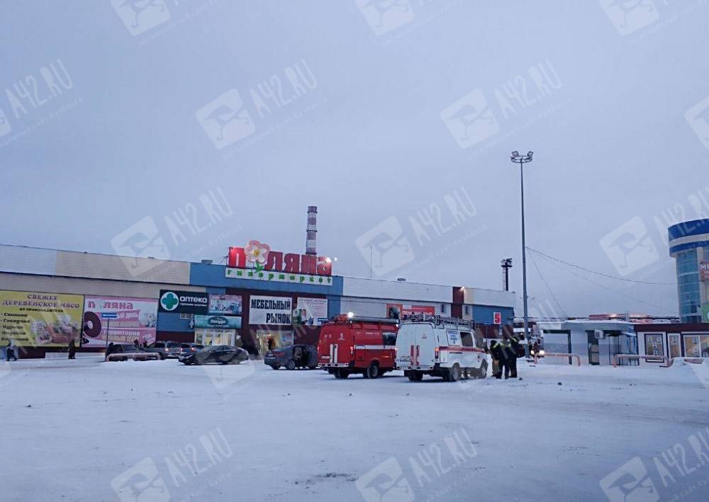 В Кемерове кинологи снова обследуют крупный рынок, который «минировали» несколько раз