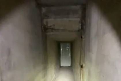 Американец нашел под своим домом «убийственный тоннель»