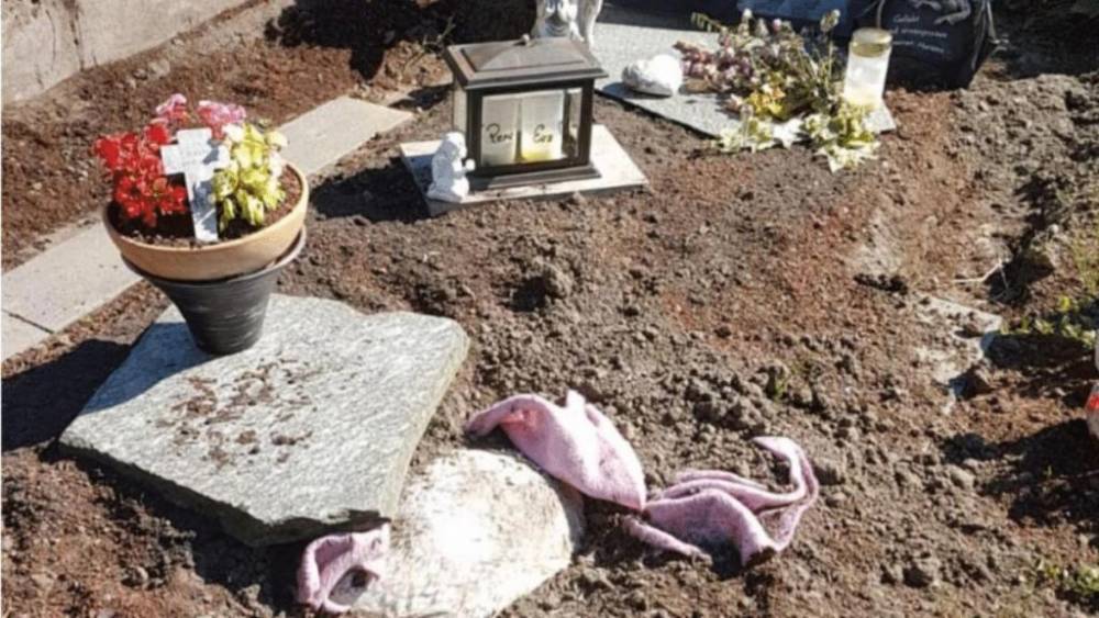 Женщина подхоронила пса в могилу своего отца