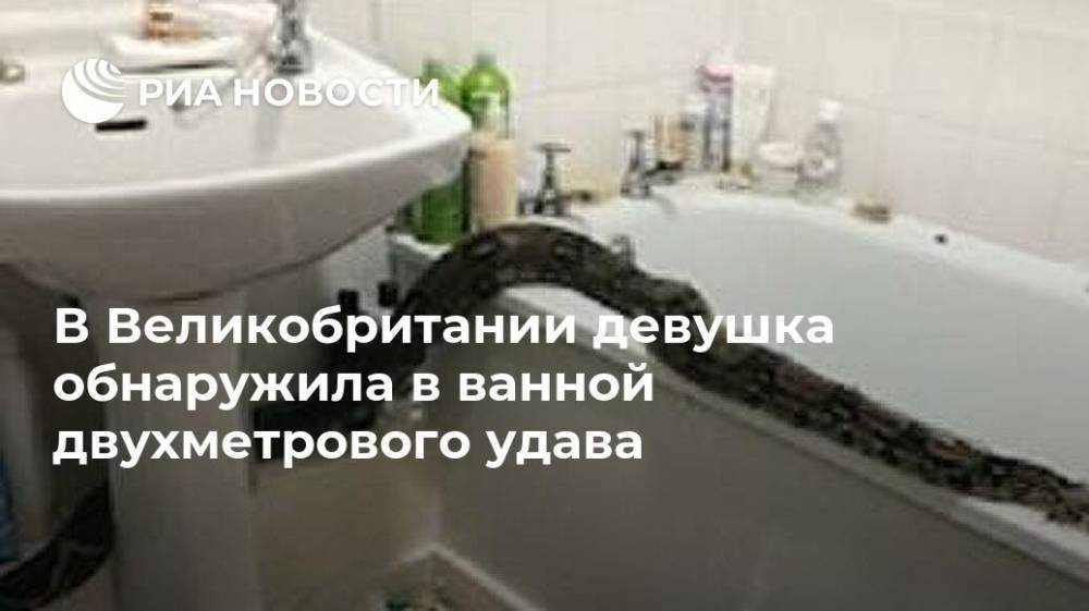 В Великобритании девушка обнаружила в ванной двухметрового удава - ria.ru - Britain - Великобритания
