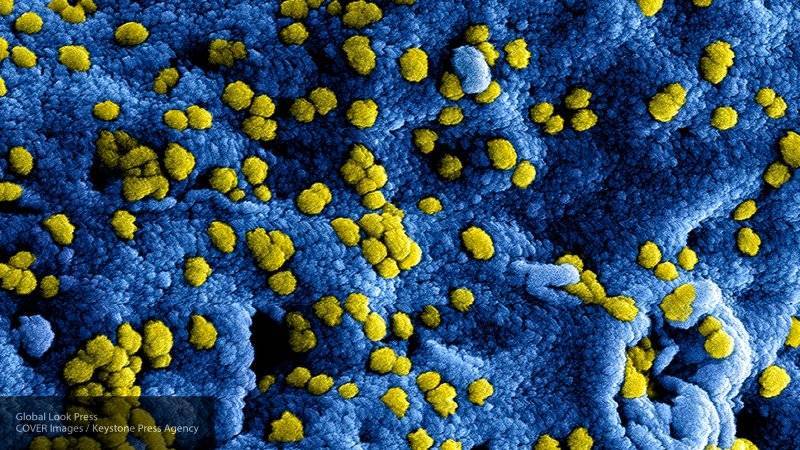 Зарегистрировано 617 случаев заражения коронавирусом в Китае