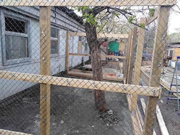 Жительницу Челябинска наказали за приюты для животных, которые она устроила в саду