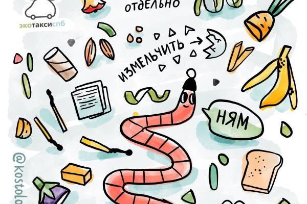 В Петербурге маньчжурские черви помогут переработать органические отходы