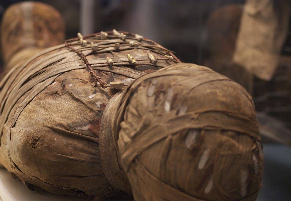 Ученые воссоздали голос трехтысячелетней мумии - Cursorinfo: главные новости Израиля