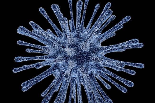«Риск биологической диверсии»: эксперт оценил вспышку коронавируса в Китае