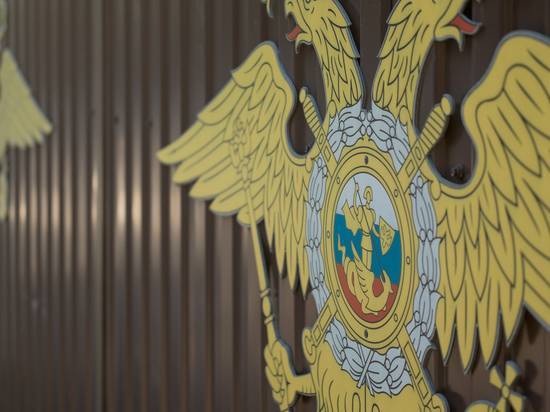 Глава профсоюза полиции заявил об угрозах, связанных со статьей о генерале