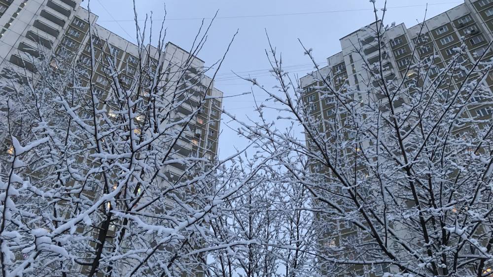 Гидрометцентр пообещал «зимний» февраль европейской части России