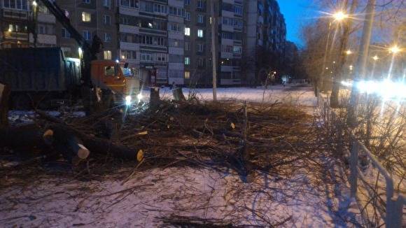Власти не знают, кто и зачем рубил деревья на северо-западе Челябинска