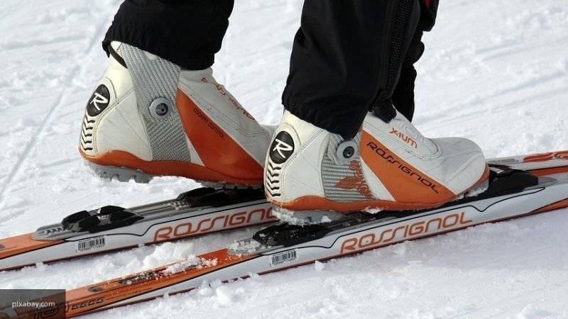 Вильфанд отметил недостаточное количество снега в Москве для катания на лыжах