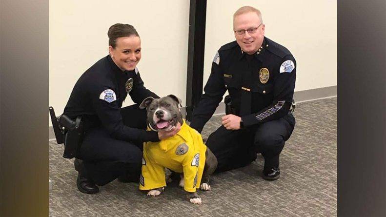 Смертельно больной пес стал полицейским на один день