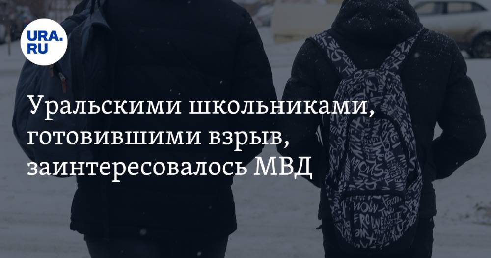 Уральскими школьниками, готовившими взрыв, заинтересовалось МВД