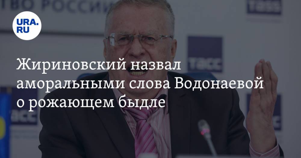 Жириновский назвал аморальными слова Водонаевой о рожающем быдле