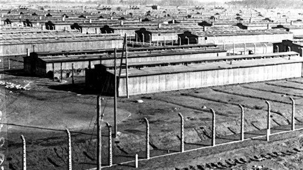 Историк рассказал о причинах замалчивания правды об Освенциме