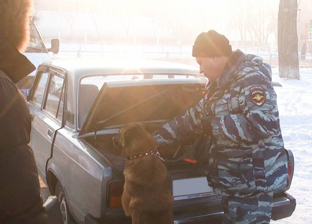 В Кемерове собака помогла полицейским задержать наркосбытчика