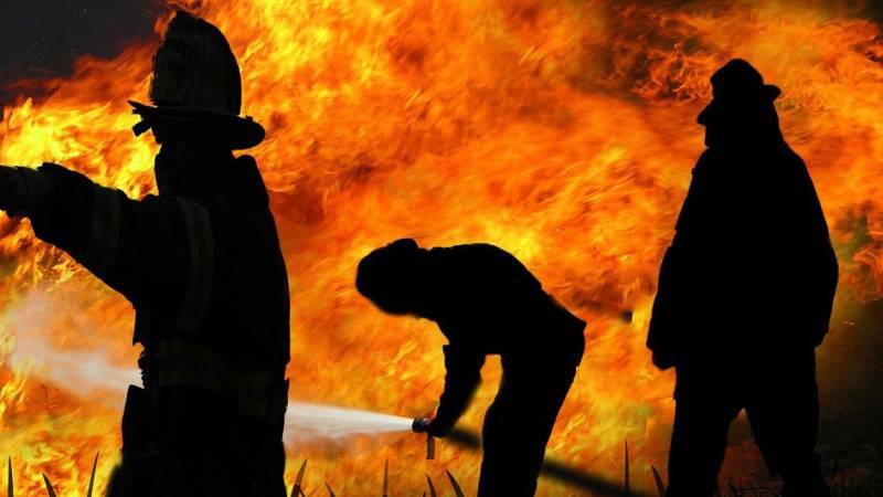 Трое детей пострадали при пожаре в Новгородской области