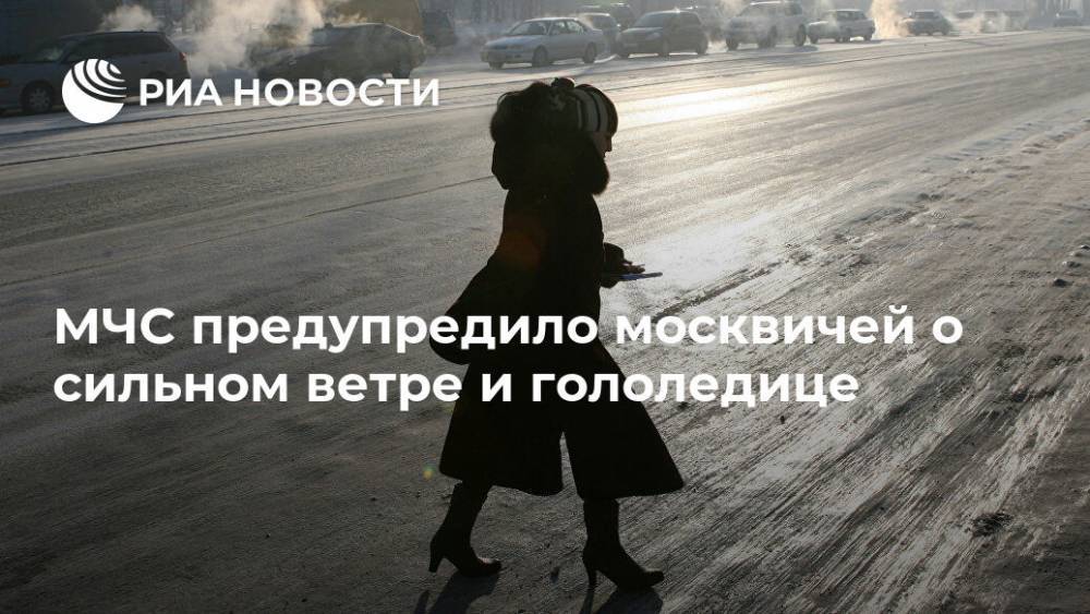МЧС предупредило москвичей о сильном ветре и гололедице