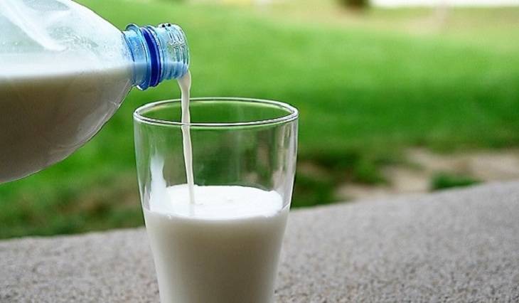 Эксперты рассказали, какое молоко может продлить молодость