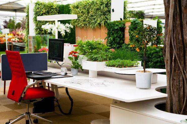 5 способов создать экологически чистый офис