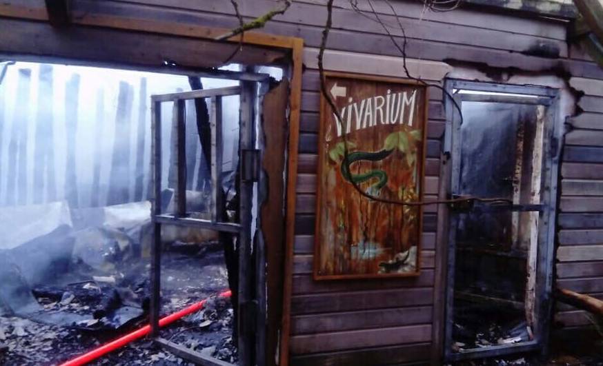 Десятки животных погибли при пожаре во французском зоопарке