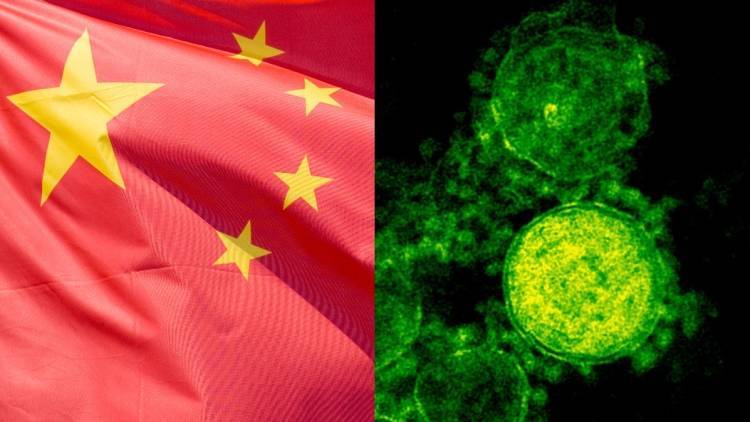 Специальную рабочую группу по контролю за коронавирусом создали в Китае
