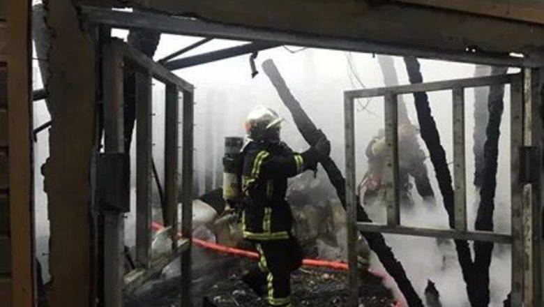 Более 60 животных погибли при пожаре во французском зоопарке