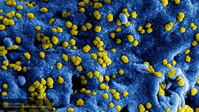 Минздрав Сирии заявил, что в стране не было зарегистрировано зараженных коронавирусом