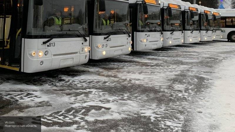 Семь человек пострадали в аварии с участием экскурсионного автобуса в Калужской области