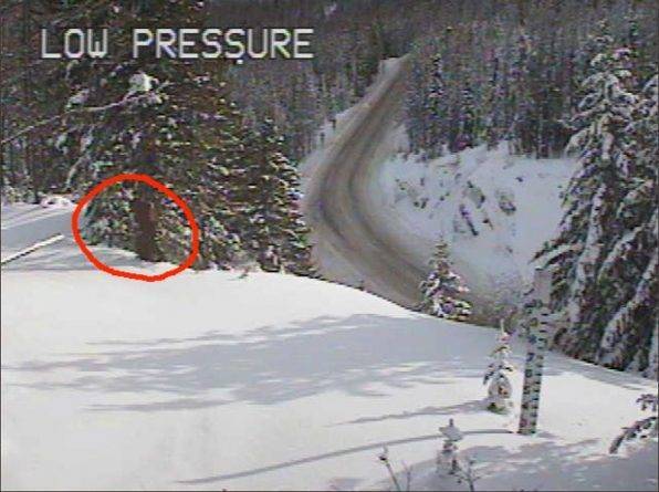 В горах штата Вашингтон камера запечатлела снежного человека. Возможно
