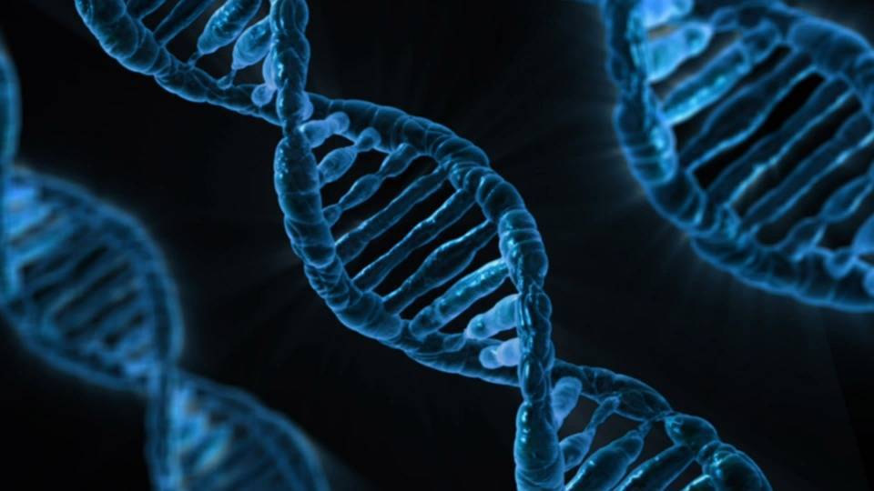 Российские ученые упростили и удешевили анализ ДНК