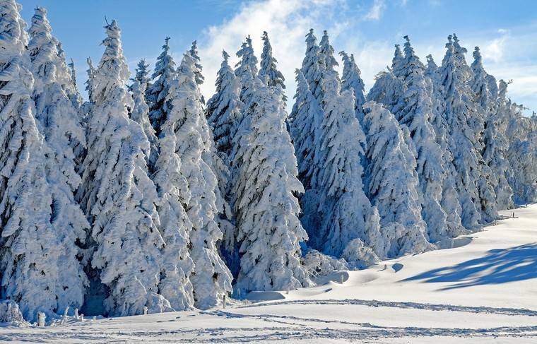 Японский учёный прогнозирует, что россияне будут реже видеть снег