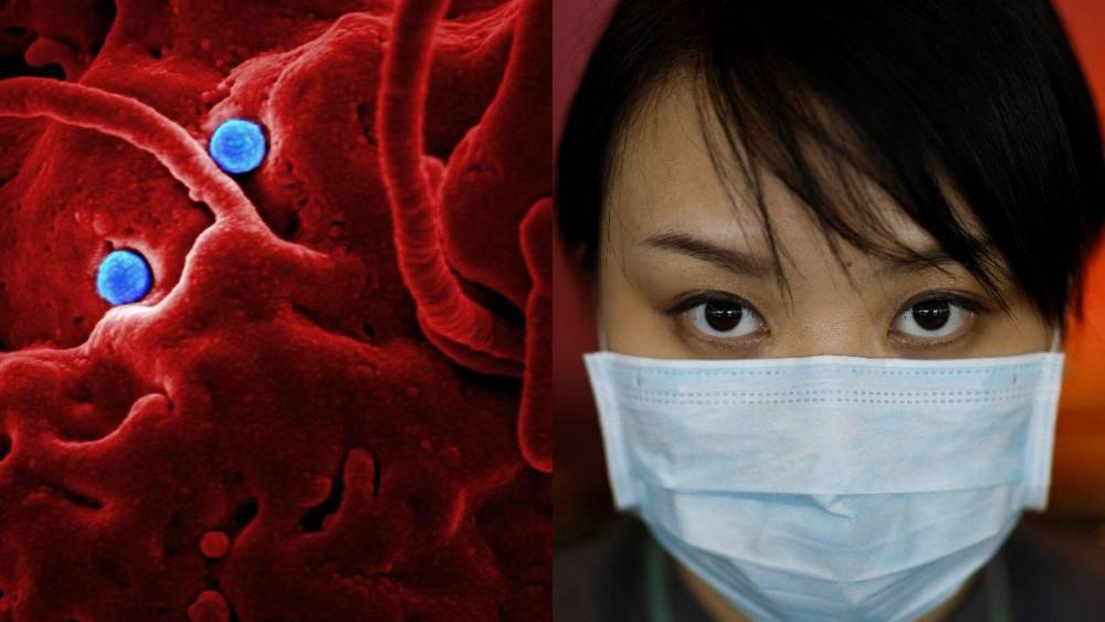 Видео из переполненной из-за коронавируса китайской больницы опубликовали в сети