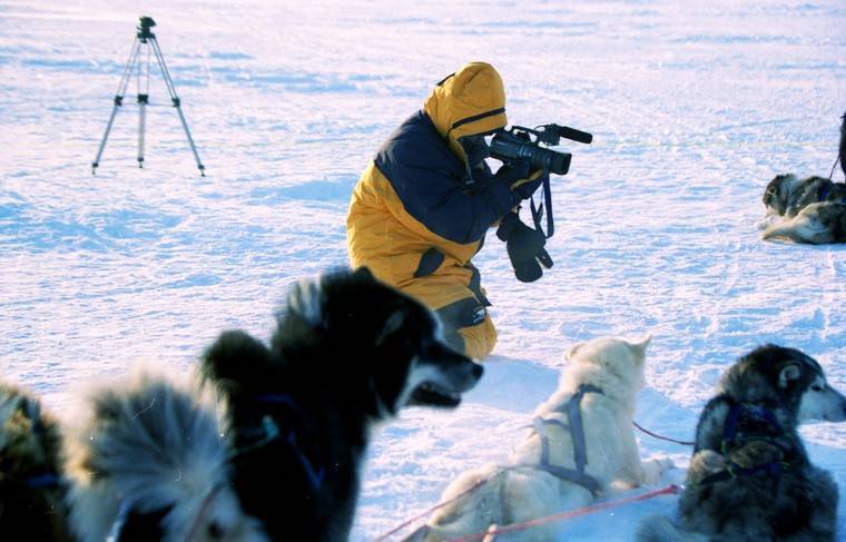 Установлен автор фильма об Антарктиде, найденном в Арктике