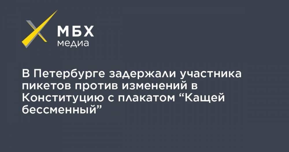 В Петербурге задержали участника пикетов против изменений в Конституцию с плакатом “Кащей бессменный”