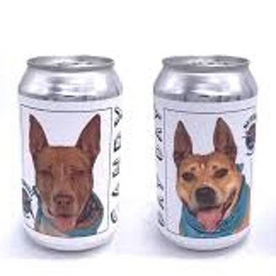 Партию пива с фотографиями бездомных собак на банках выпустили в США
