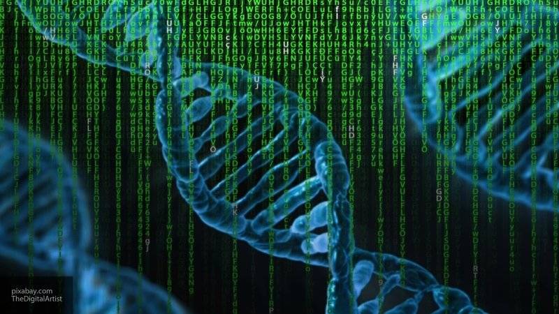 Российские генетики удешевили анализ ДНК в два раза