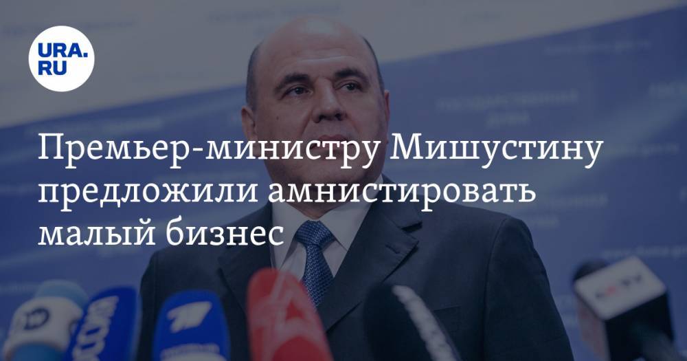 Премьер-министру Мишустину предложили амнистировать малый бизнес