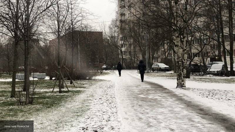 Финский эколог рассказал, чем опасна зима без снега