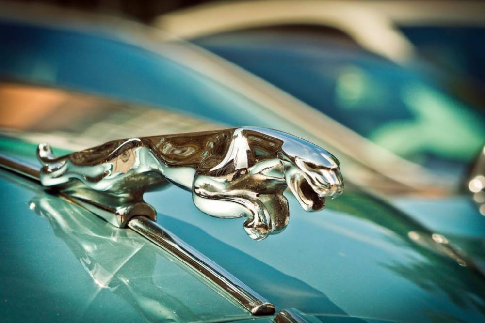 В Кузбассе официальный дилер Jaguar и Land Rover утратит свой статус