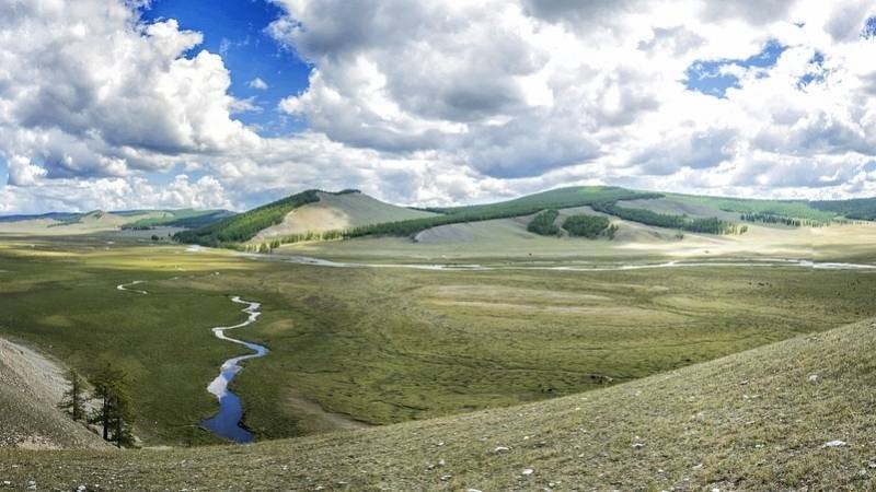 Монголия закроет границу с Китаем из-за угрозы коронавируса