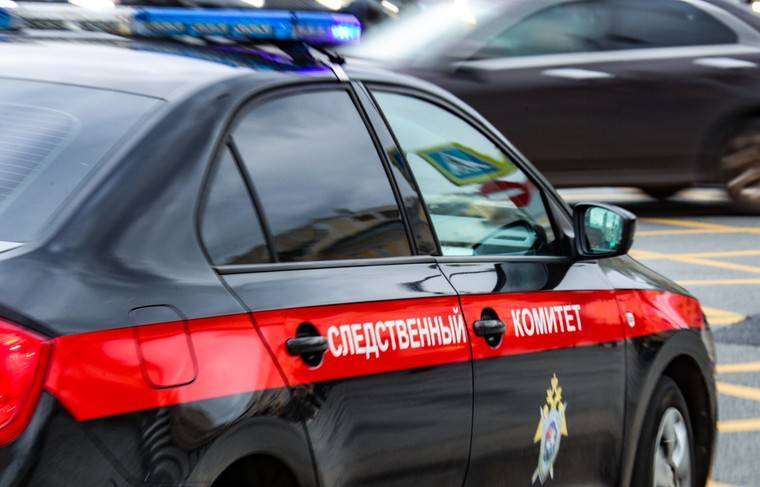 СК возбудил уголовное дело после инцидента с детьми в Шереметьево