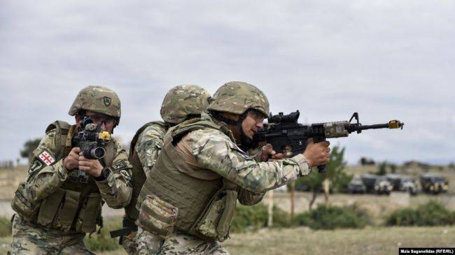 Посол США похвалила грузинских солдат за службу в Афганистане