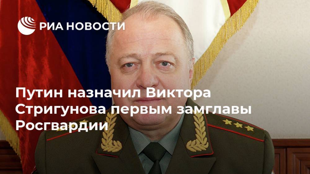 Путин назначил Виктора Стригунова первым замглавы Росгвардии