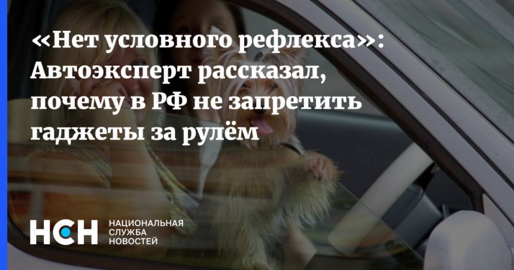 «Нет условного рефлекса»: Автоэксперт рассказал, почему в РФ не запретить гаджеты за рулём