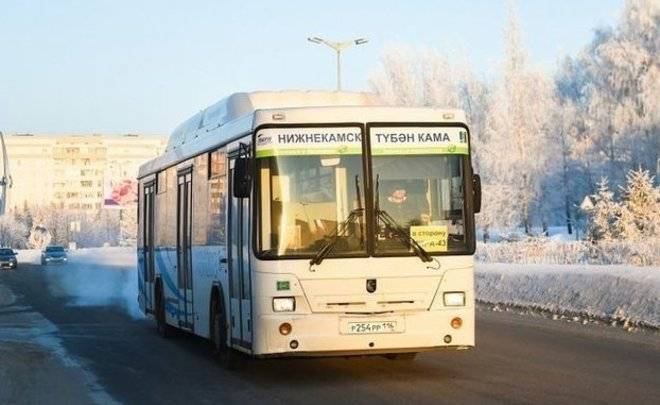 В Нижнекамске соединят городские и вахтовые автобусы, чтобы помочь перевозчикам выйти из кризиса