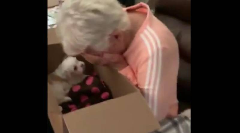 Пожилая женщина расплакалась от радости, когда семья подарила ей долгожданного щенка (видео)