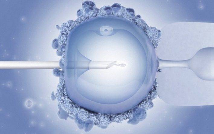 Суд обязал пациентку с раком пожертвовать эмбрионы, оплодотворенные ее бывшим мужем