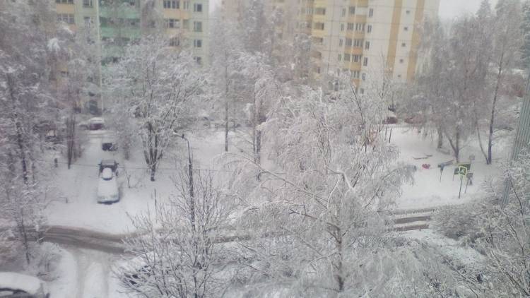 Самый сильный за январь снегопад начался в Москве